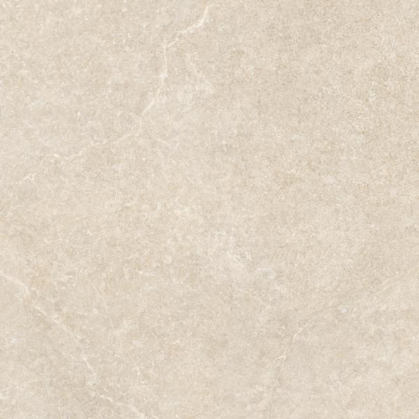 Textura Savoy Desert