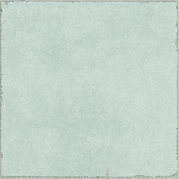 Valencia Salvia 20x20 Rc 1000 Medium